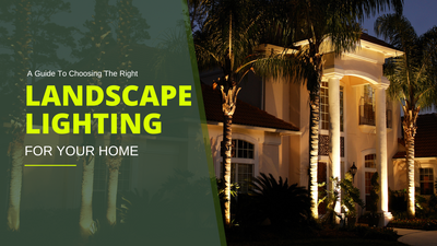 Illuminating Your Outdoor Spaces: A Guide to Choosing the Right Landscape Lighting for Your Home