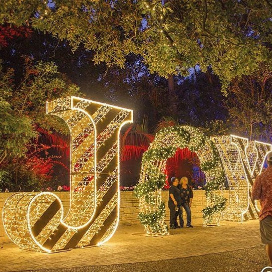 Giant Pre-Lit LED Walk-Through Arch - Joy Sign