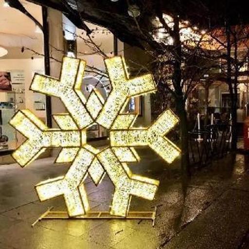 Giant Pre-Lit LED Fancy Snowflake