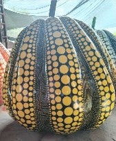 Giant Fiberglass Wide Bottom Pumpkin