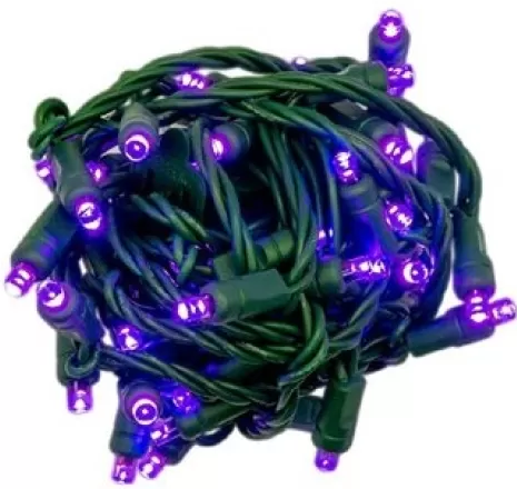 Christmas Light Company - LED Mini Lights 4" Spacing 70 Lights (CASE PACK: QTY 24)
