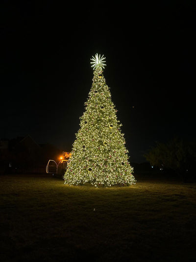 Extra-large prelit outdoor Christmas tree for commercial use, decorated with warm white lights and a glowing starburst top, ideal for municipal holiday displays.