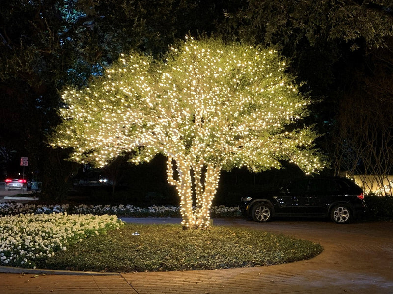 Certified Waterproof Quick Connect Coaxial LED Mini Lights - Warm White 5mm Wide Angle, 3" Spacing 100 Lights Balled