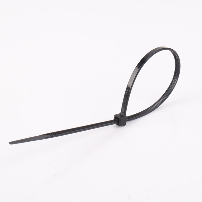 12" Black Zip Ties - Pack of 100